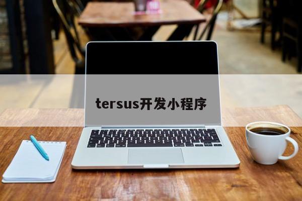 tersus开发小程序